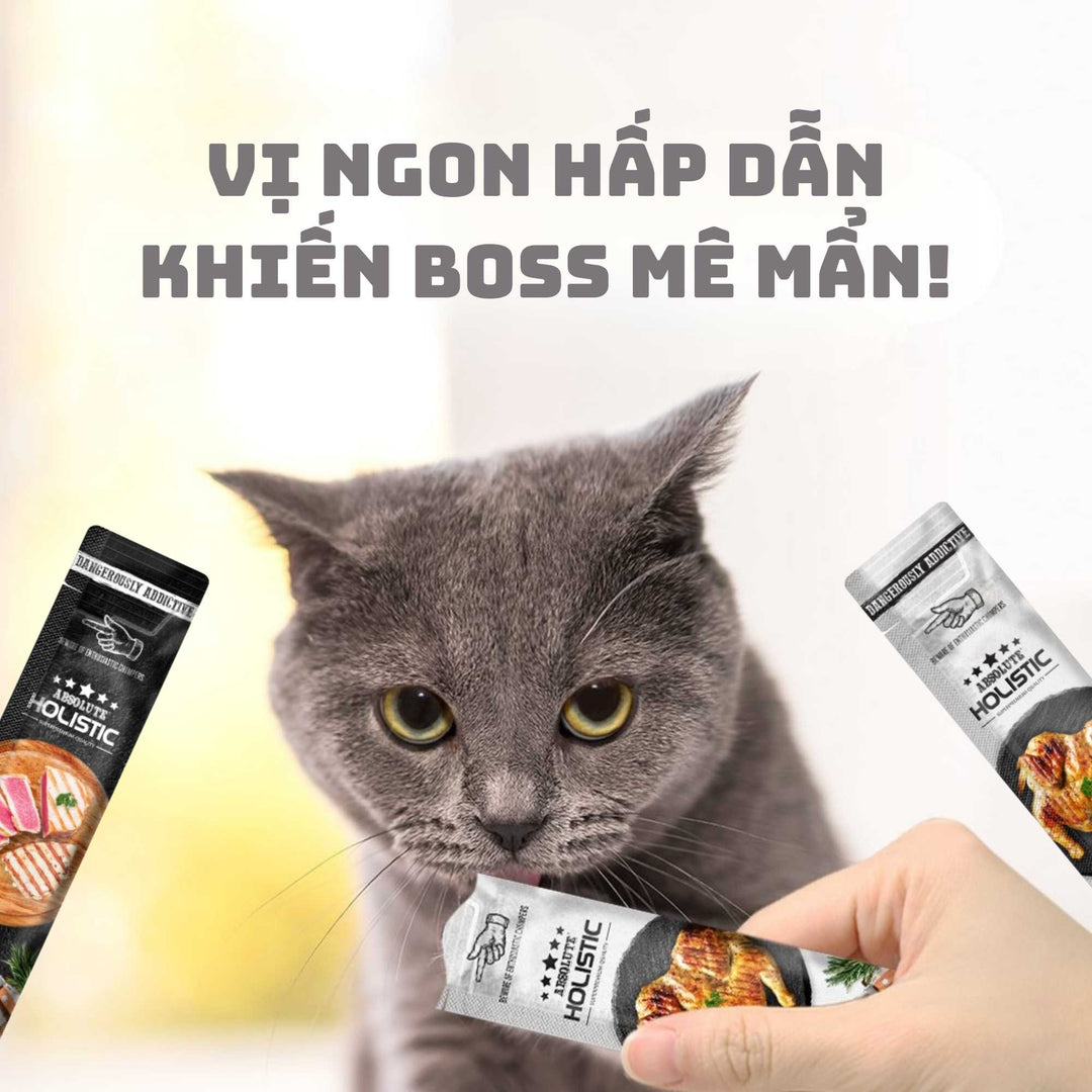 Súp Thưởng Cho Chó Mèo Absolute Holistic Bisque, 60g (Túi 5 Tuýp)