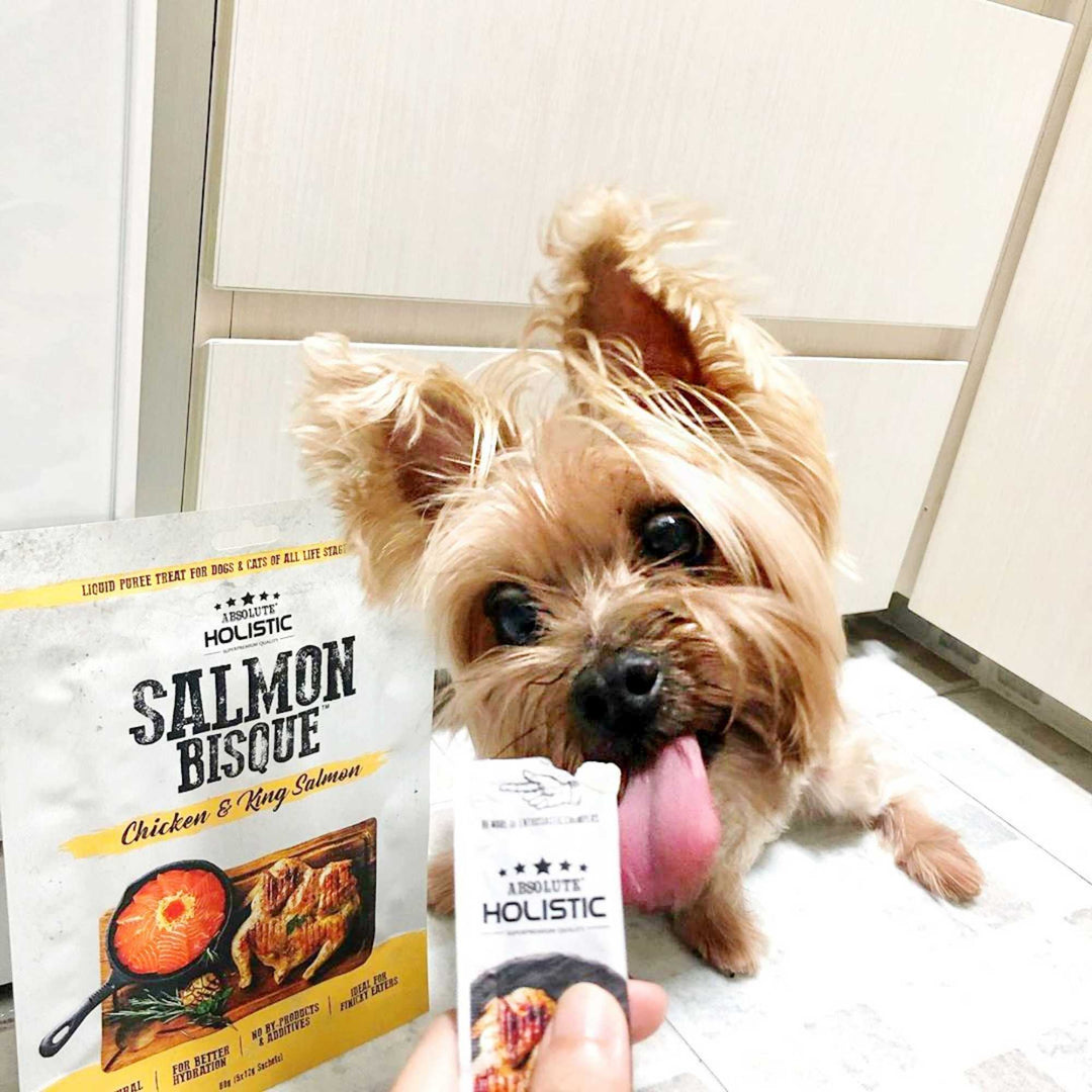 Súp Thưởng Cho Chó Mèo Absolute Holistic Bisque, 60g (Túi 5 Tuýp)