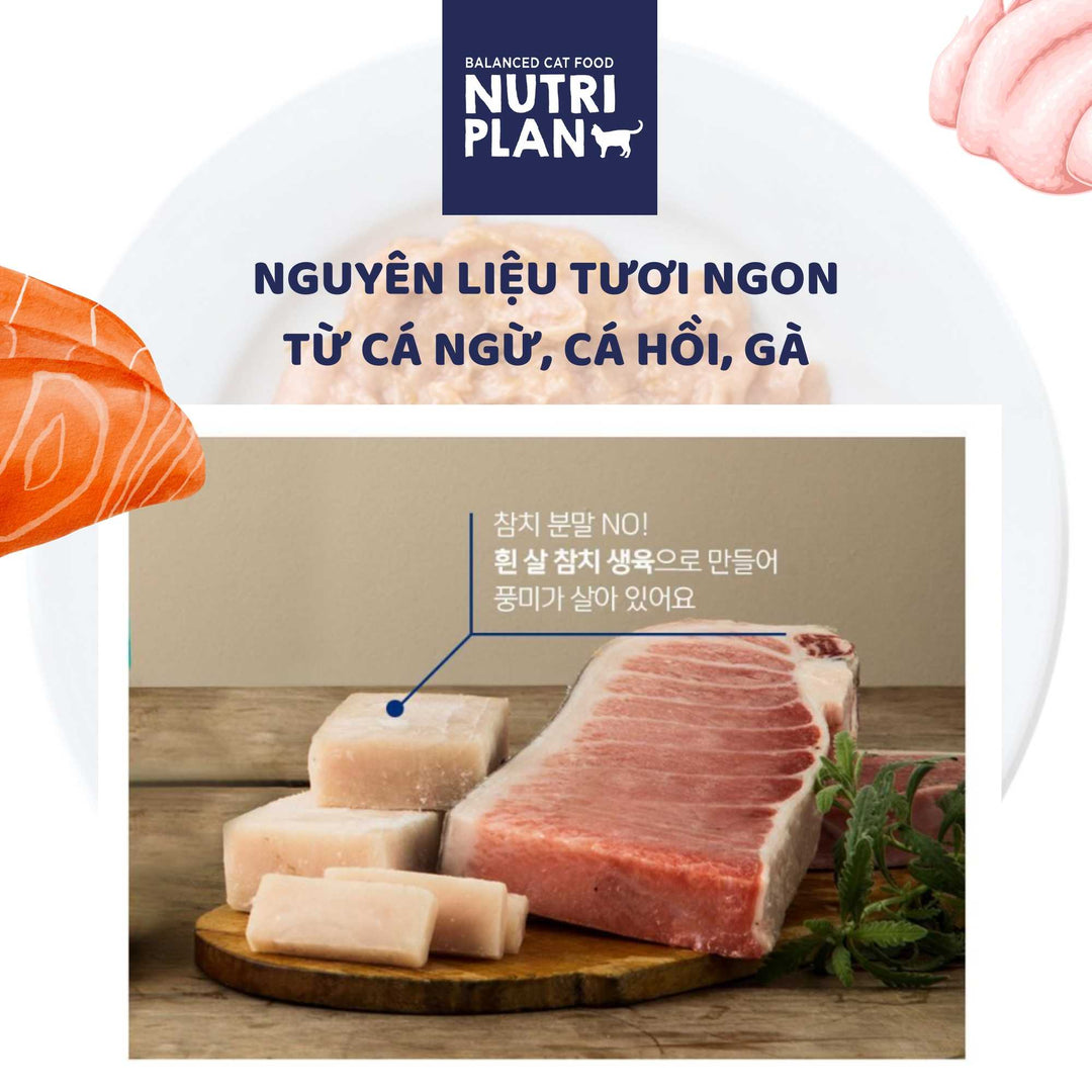 Súp Thưởng Cho Mèo Nutri Plan Stick, Gói 4 Thanh, 56g