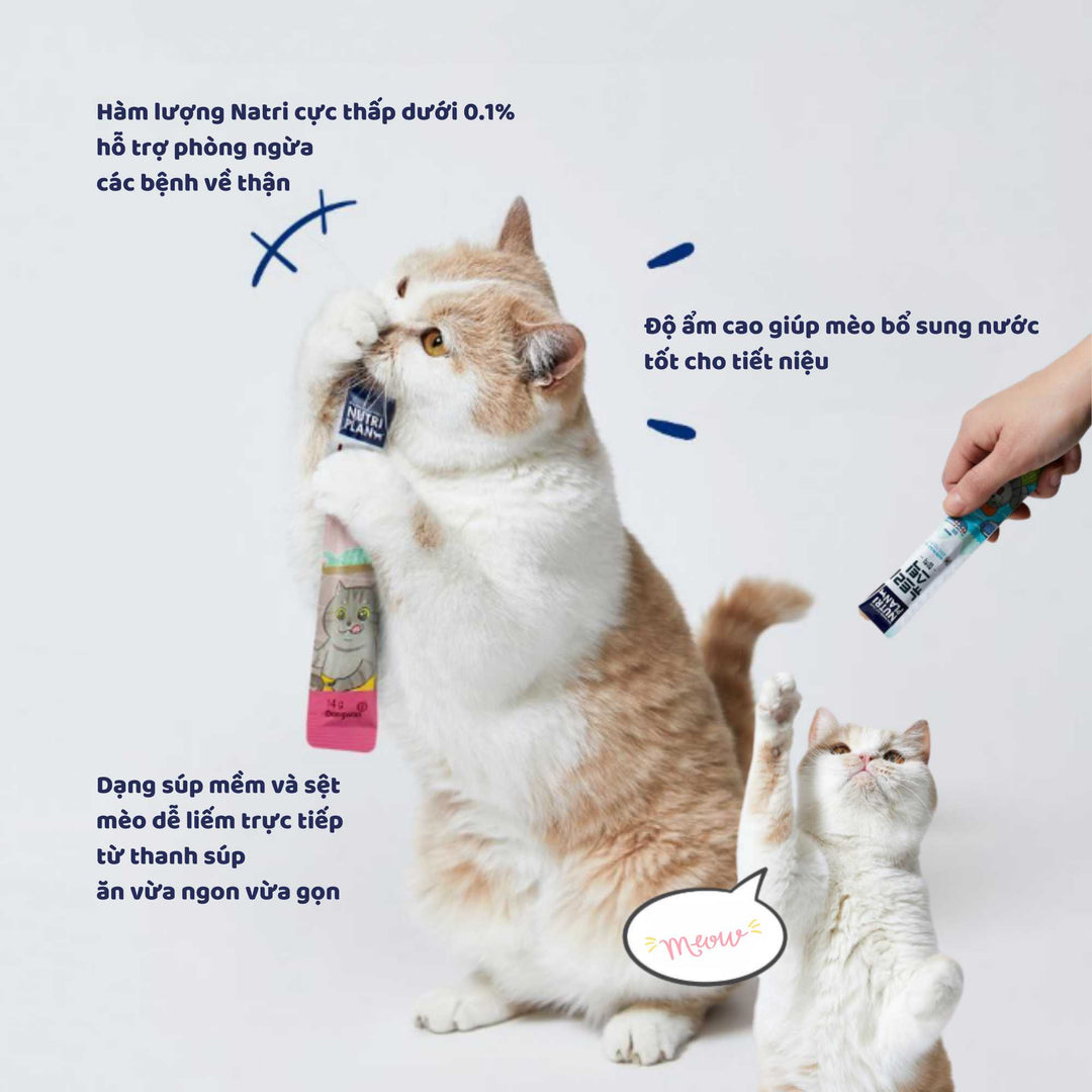 [Combo 10 - 20 Stick] Súp Thưởng Cho Mèo Nutri Plan, Thanh 14g