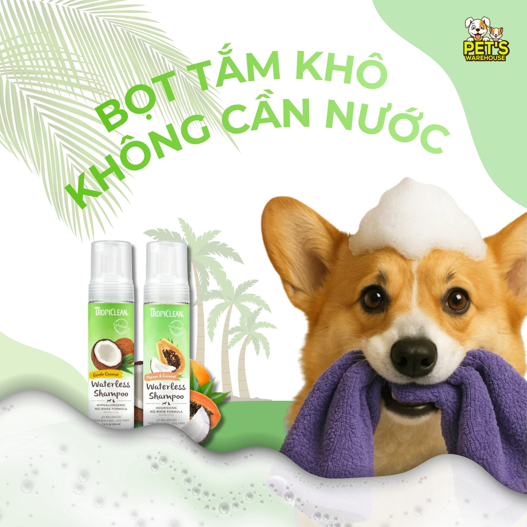 Bọt Tắm Khô Dưỡng Lông Cho Chó Mèo Tropiclean Waterless Shampoo, Không Cần Dùng Nước, 220ml