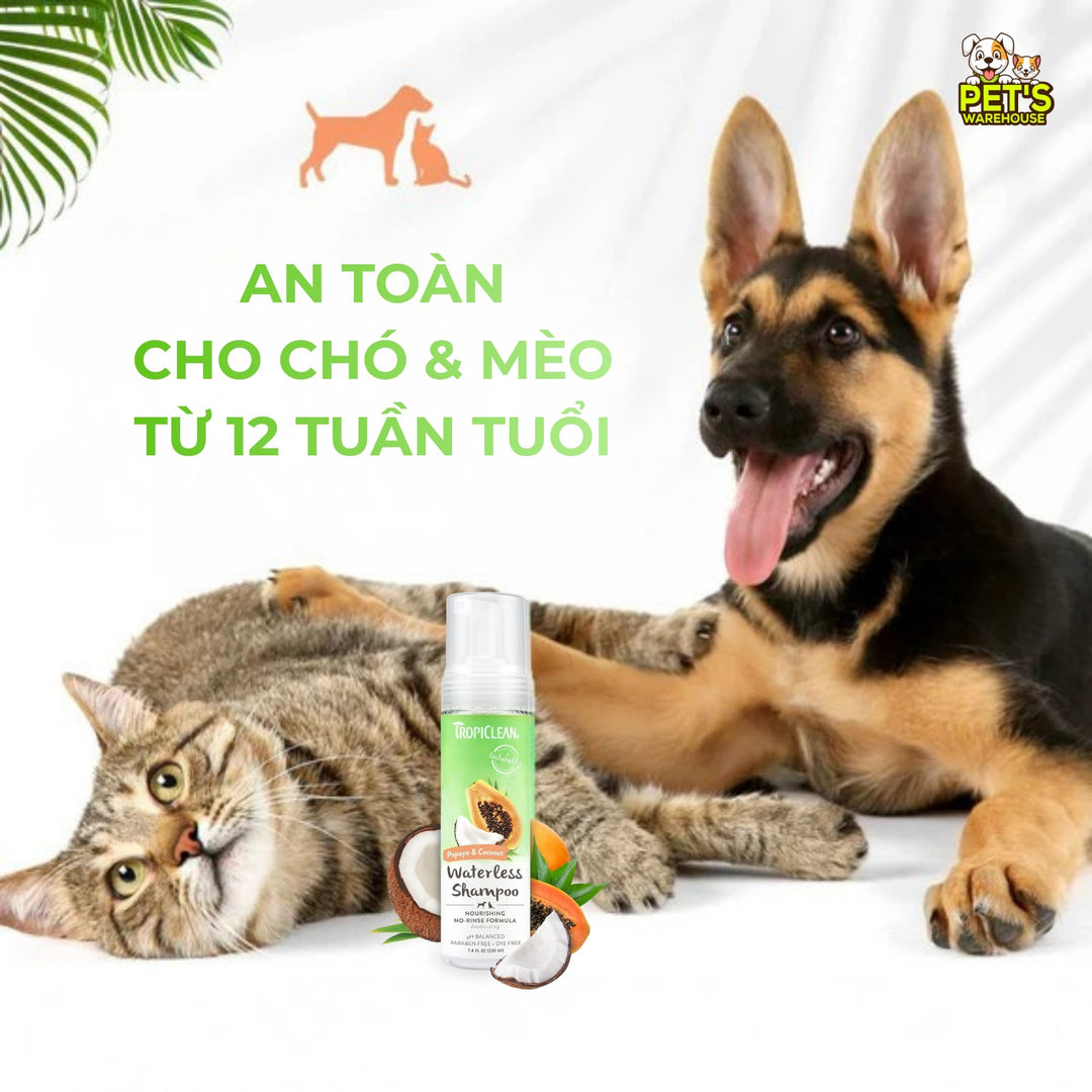 Bọt Tắm Khô Dưỡng Lông Cho Chó Mèo Tropiclean Waterless Shampoo, Không Cần Dùng Nước, 220ml