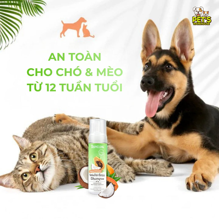 Bọt Tắm Khô Dưỡng Lông Cho Chó Mèo Tropiclean Waterless Shampoo, Không Cần Dùng Nước, 220ml