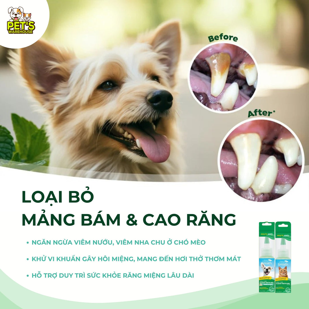 Gel Vệ Sinh Răng Miệng Cho Chó Mèo TropiClean Fresh Breath, 59ml