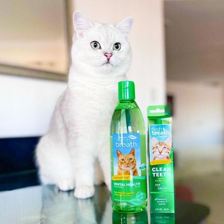 Gel Vệ Sinh Răng Miệng Cho Chó Mèo TropiClean Fresh Breath, 59ml