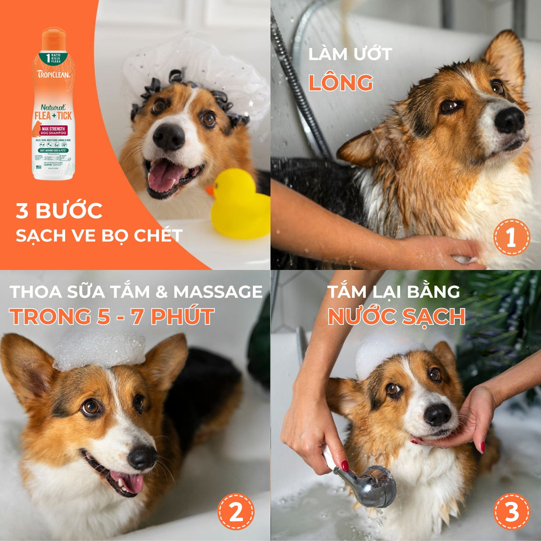 Sữa Tắm & Xịt Ve Rận, Bọ Chét Cho Chó Tropiclean Natural Flea & Tick (Mỹ)