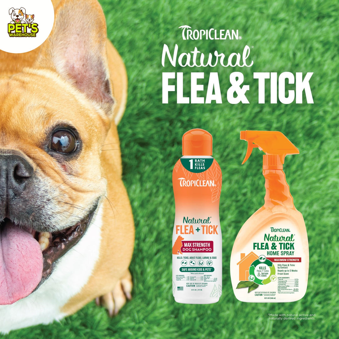 Sữa Tắm & Xịt Ve Rận, Bọ Chét Cho Chó Tropiclean Natural Flea & Tick (Mỹ)