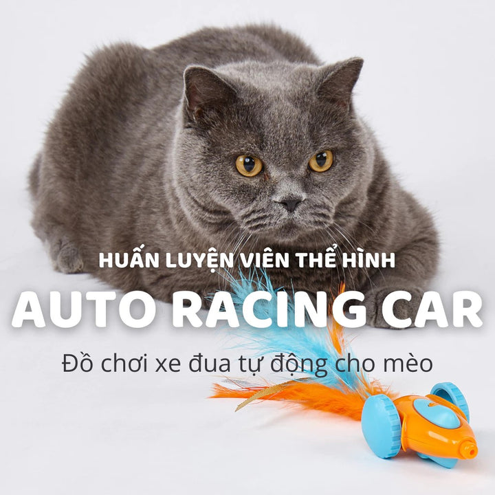 Đồ Chơi Lắc Lư Tự Động FOFOS Cho Mèo